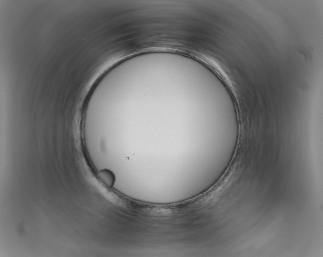 X0000111491235200907141057