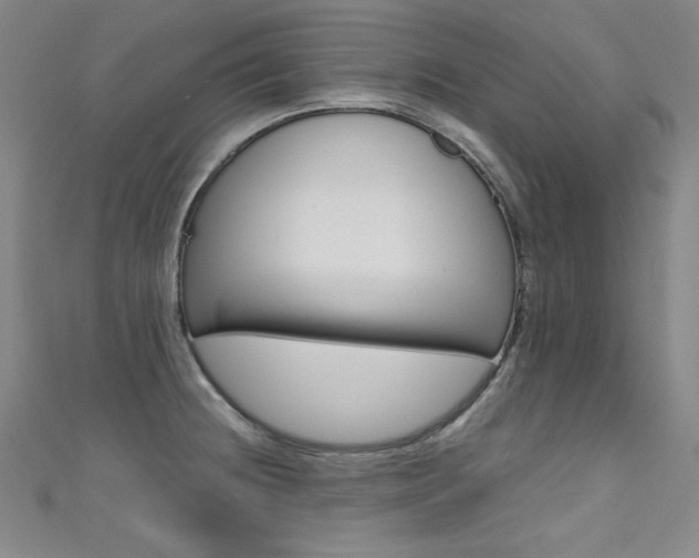 X0000111491236200907141057