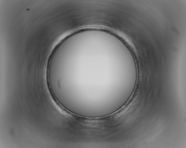 X0000111491237200907141057
