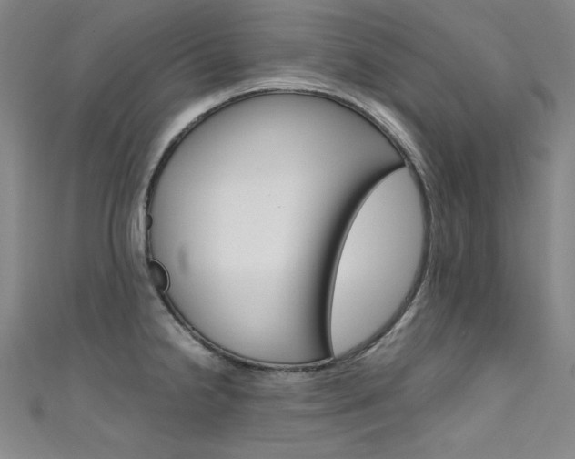 X0000111491238200907141057