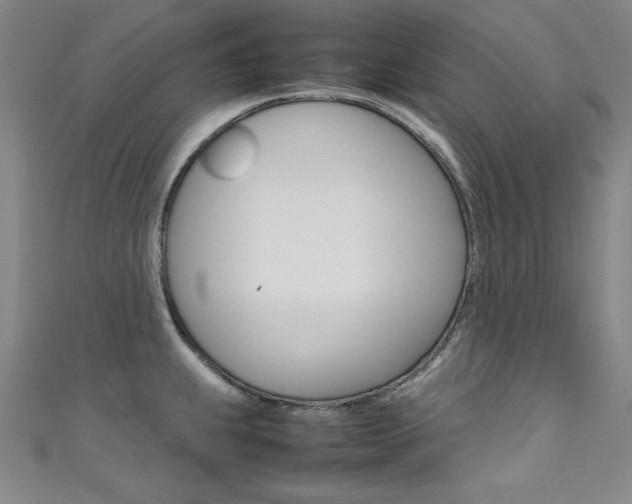X0000111491239200907141057