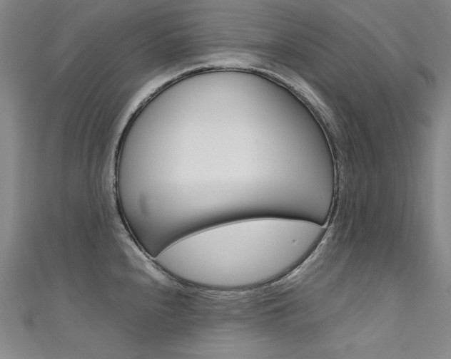 X0000111491240200907141057