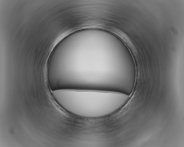 X0000111491242200907141057
