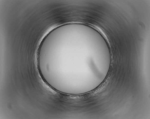 X0000111491243200907141057