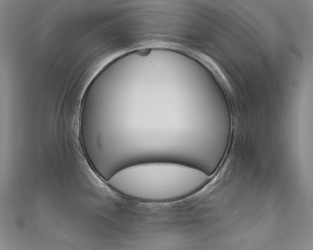 X0000111491244200907141057