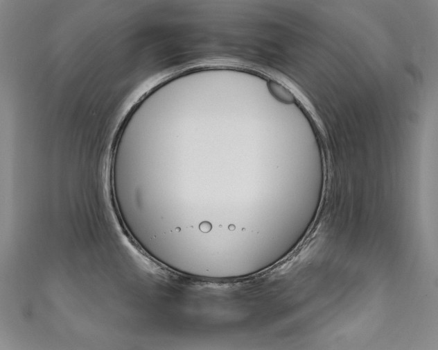 X0000111491245200907141057