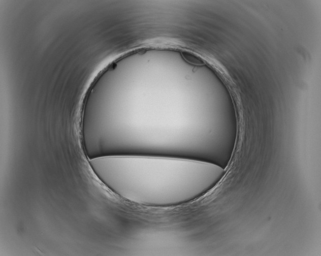 X0000111491248200907141057