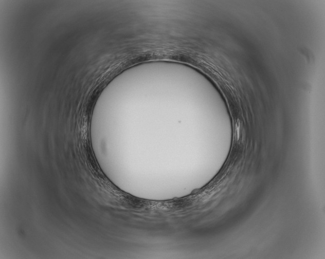 X0000111491251200907141056