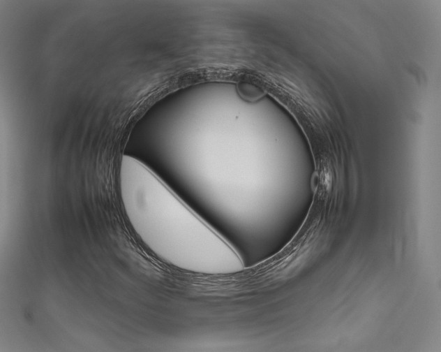 X0000111491252200907141056