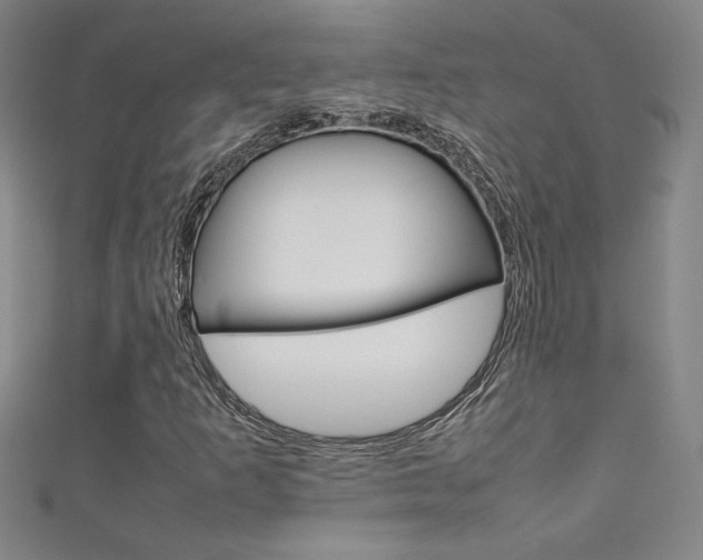 X0000111491253200907141056