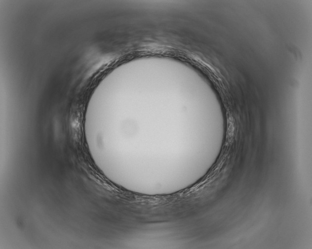X0000111491254200907141056