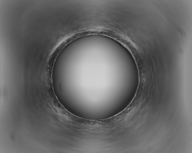 X0000111491256200907141056