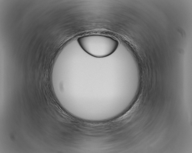 X0000111491257200907141056