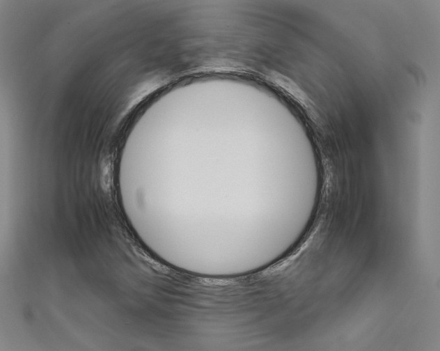 X0000111491258200907141056