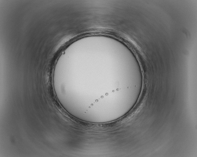 X0000111491259200907141056