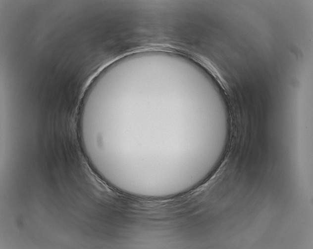 X0000111491260200907141056