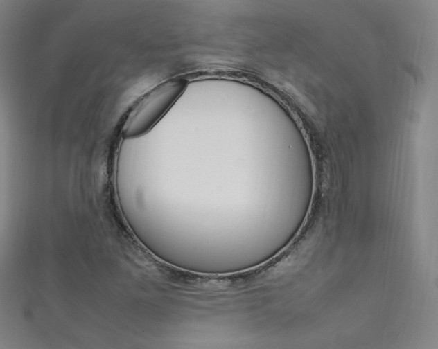 X0000111491261200907141056