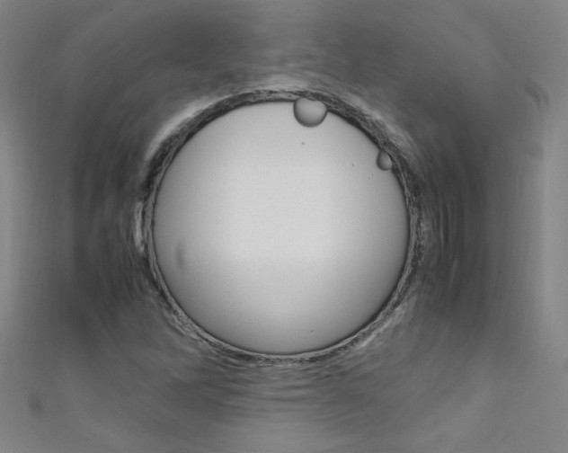 X0000111491262200907141056