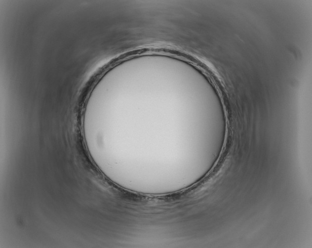 X0000111491263200907141056