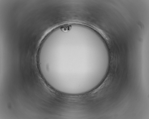 X0000111491264200907141056