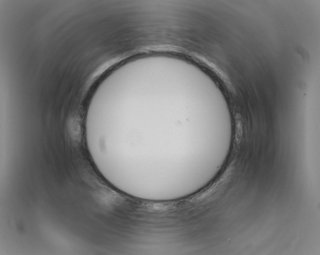 X0000111491266200907141056