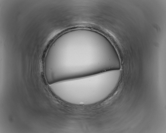 X0000111491267200907141056