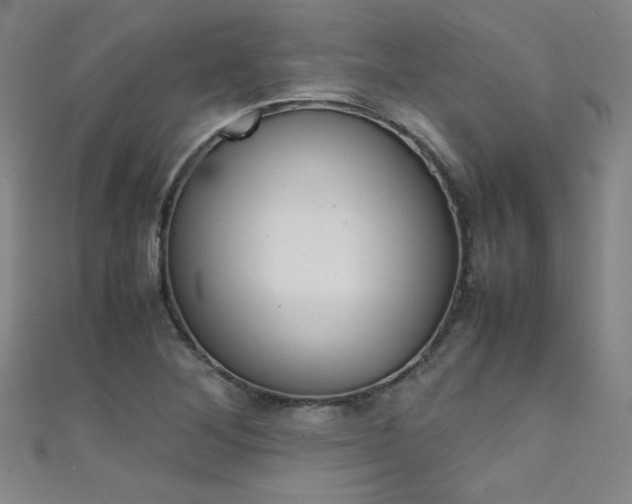 X0000111491268200907141056