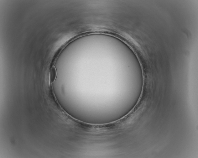 X0000111491269200907141056