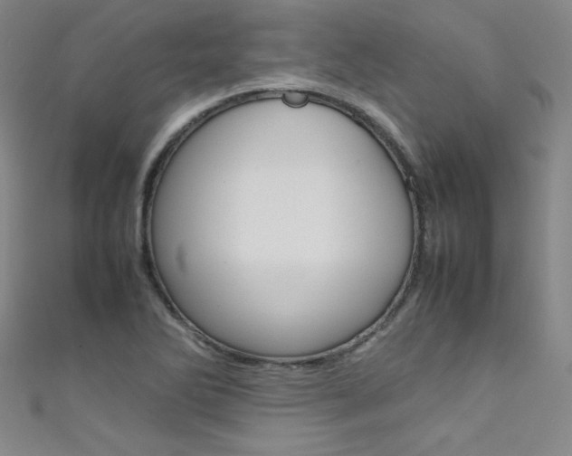 X0000111491270200907141056