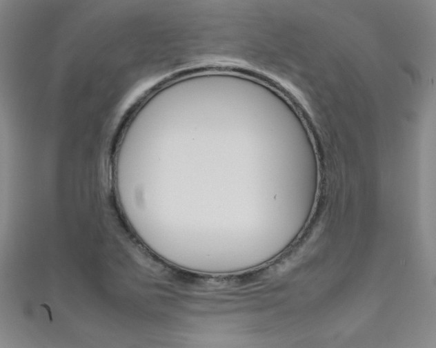 X0000111491271200907141056