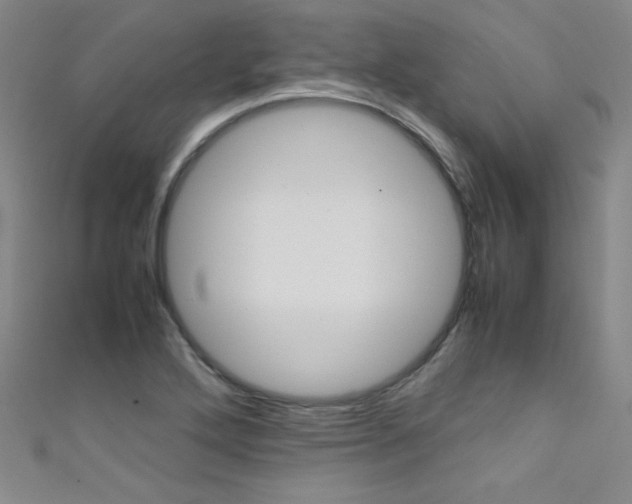 X0000111491272200907141056