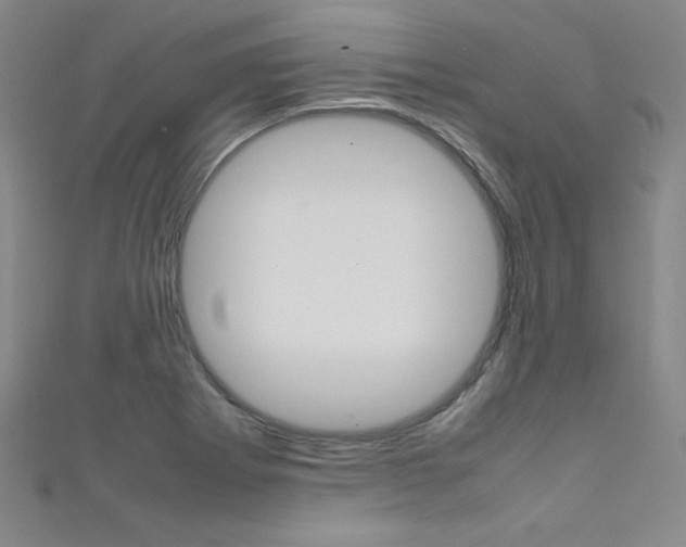 X0000111491273200907141056