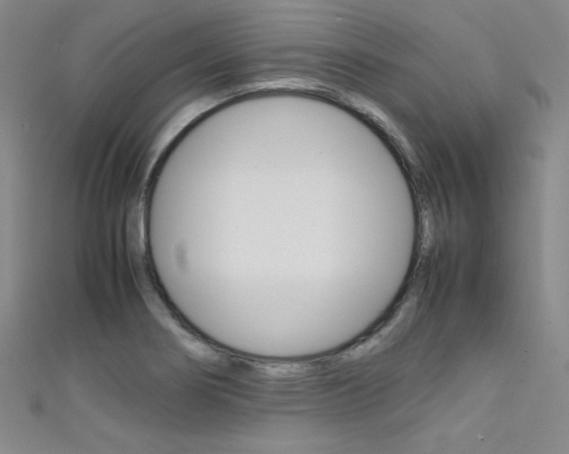 X0000111491274200907141056