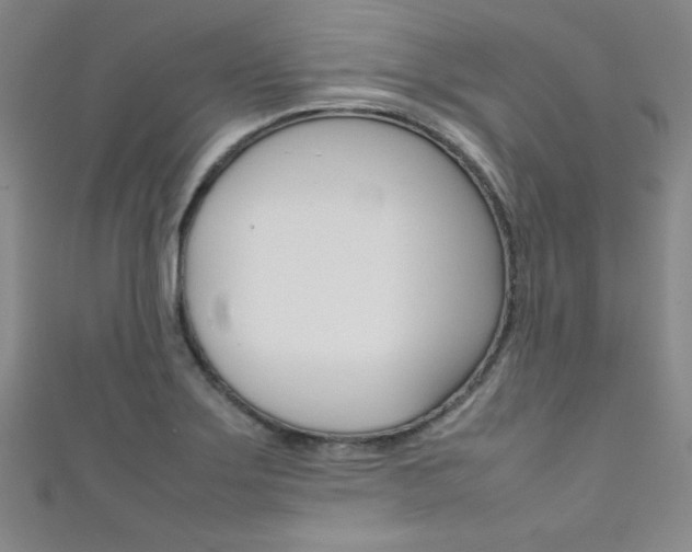 X0000111491275200907141056