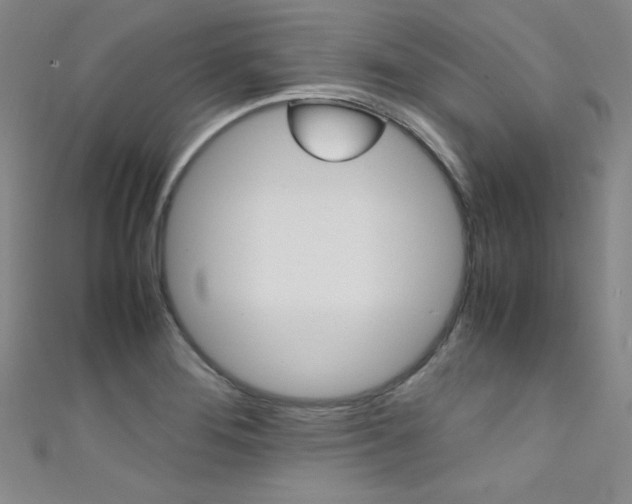 X0000111491276200907141056
