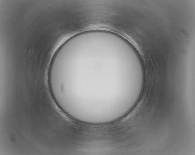 X0000111491277200907141056