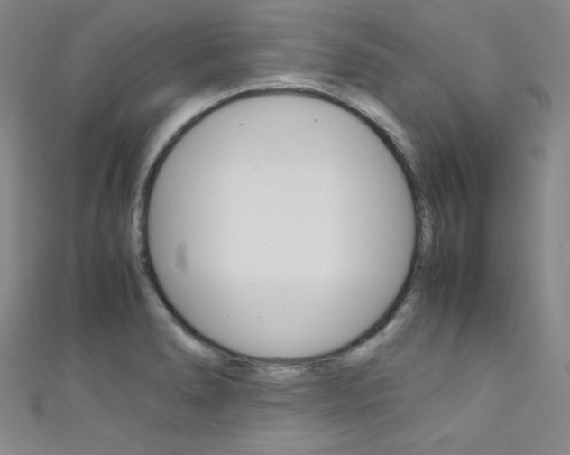 X0000111491278200907141056
