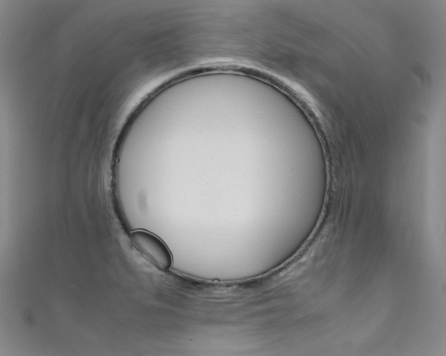 X0000111491279200907141056