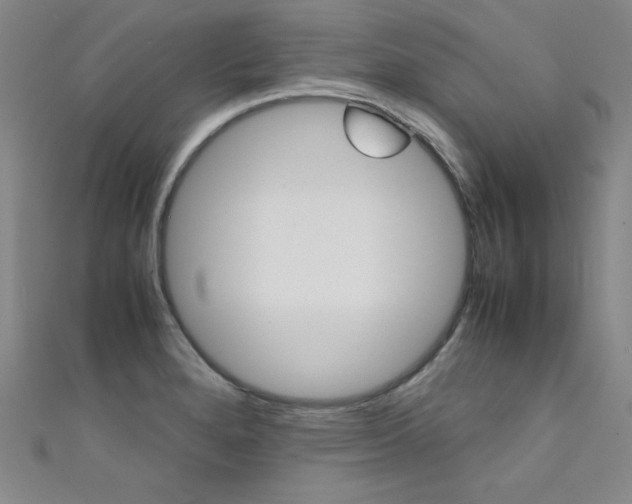 X0000111491280200907141056