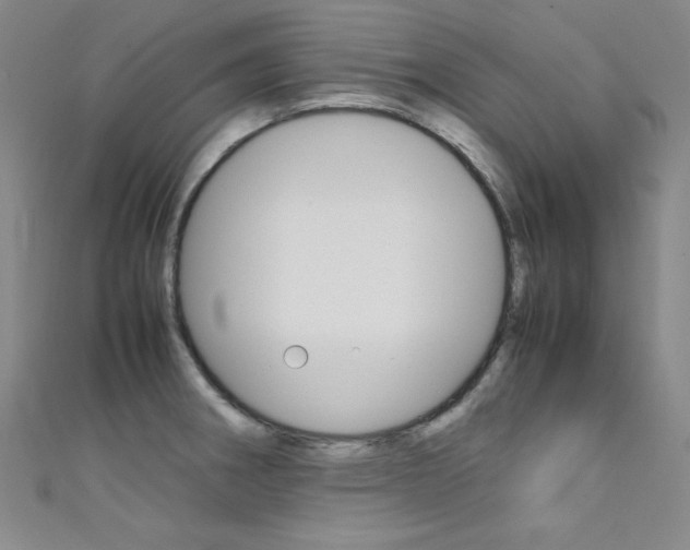 X0000111491282200907141056