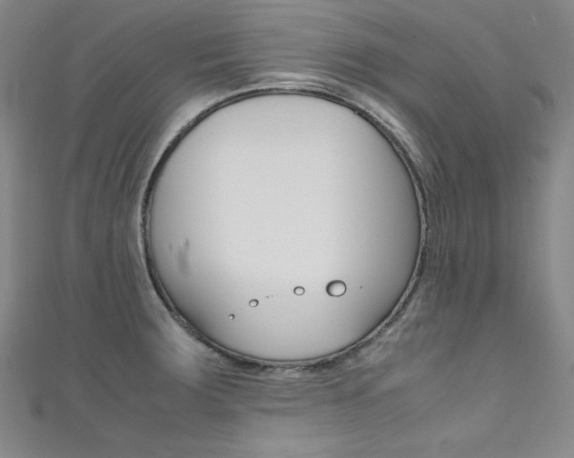 X0000111491283200907141056