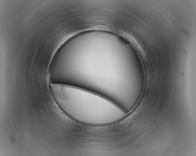 X0000111491284200907141056