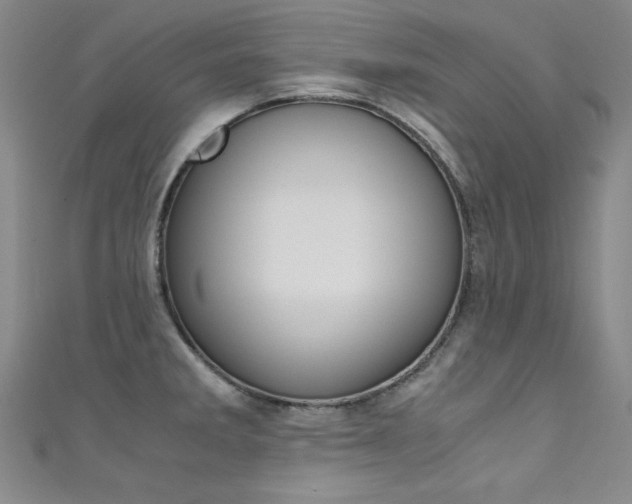 X0000111491285200907141056