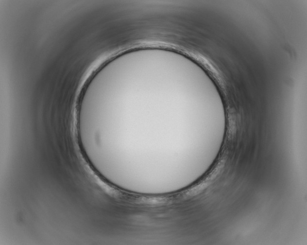 X0000111491286200907141056