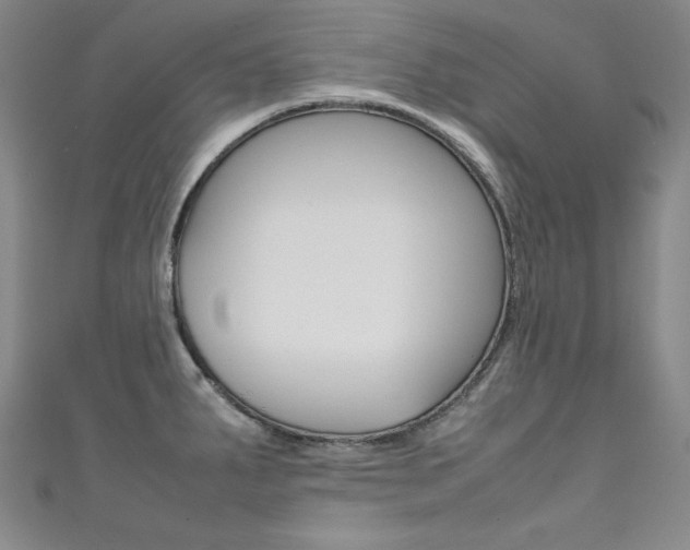 X0000111491287200907141056