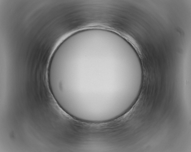 X0000111491288200907141056