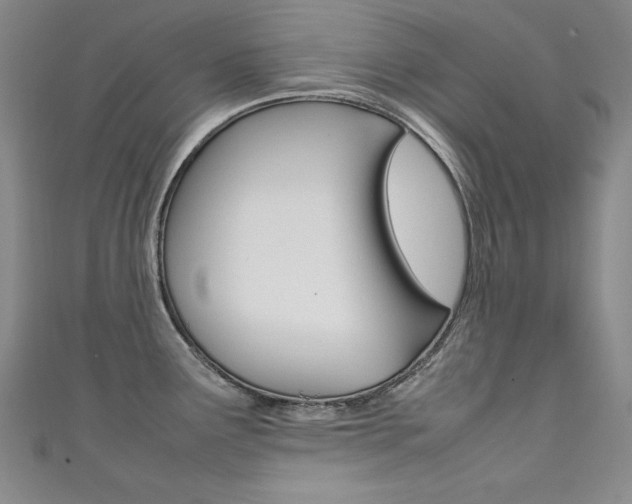 X0000111491291200907141056