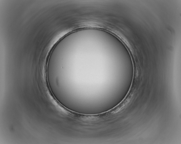 X0000111491293200907141056