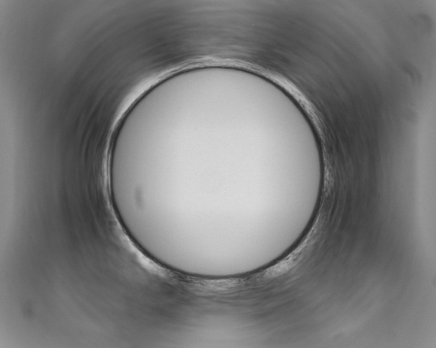 X0000111491294200907141055