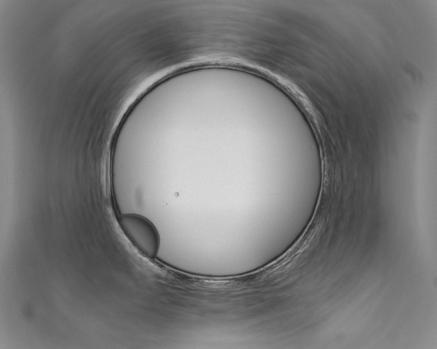 X0000111491295200907141055